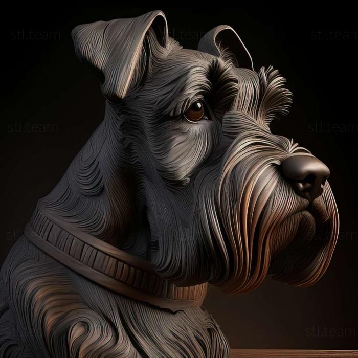 Zwergschnauzer dog